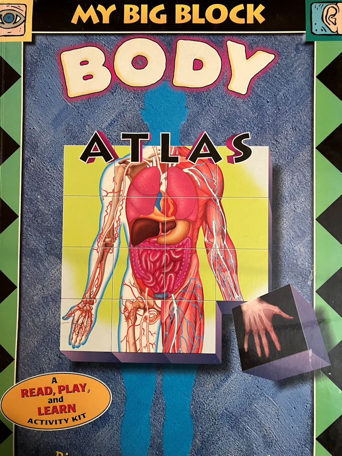 My Big Block Body Atlas