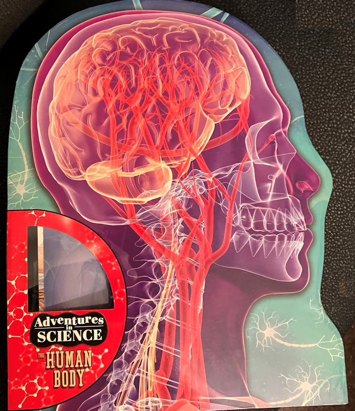 Human Body - Adventures in Science