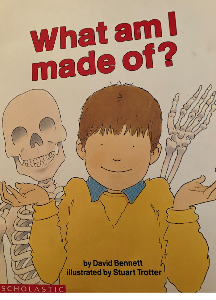 What am I made of?